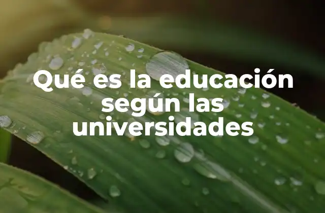 Qué es la Educación según las Universidades 2 El rol de la educación en la formación universitaria