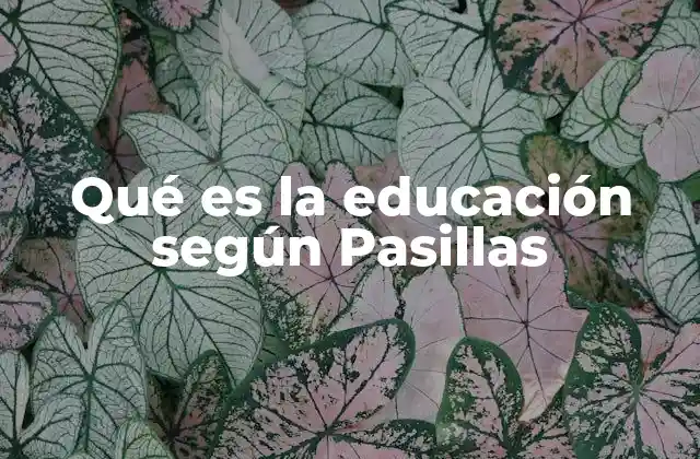Qué es la Educación según Pasillas