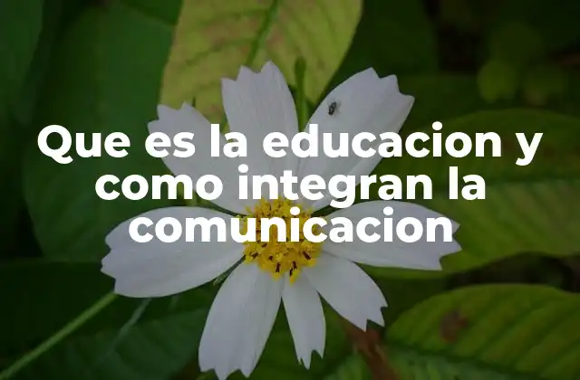 Que es la Educacion y como Integran la Comunicacion 2 El papel de la comunicación en el proceso formativo