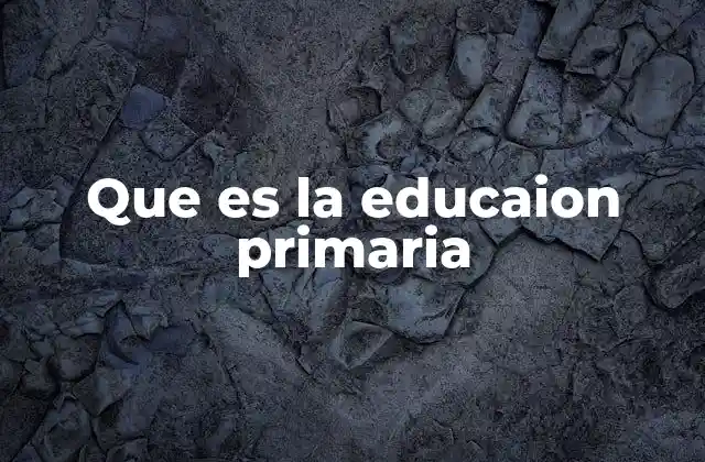 Que es la Educaion Primaria 2 El papel de la educación primaria en el desarrollo humano