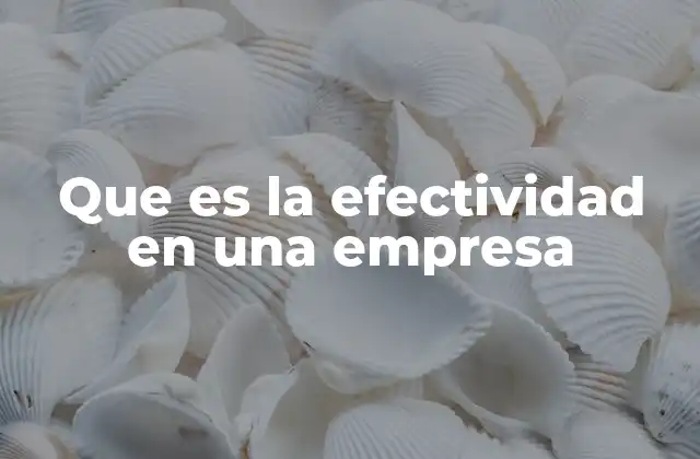 Que es la Efectividad en una Empresa