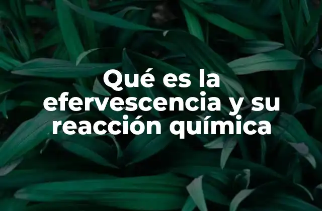 Qué es la Efervescencia y Su Reacción Química