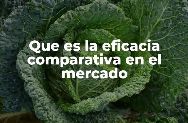 Que es la Eficacia Comparativa en el Mercado