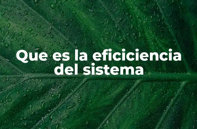 Que es la Eficiciencia Del Sistema