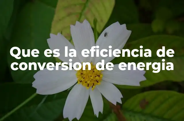 Importancia de la eficiencia en procesos energéticos