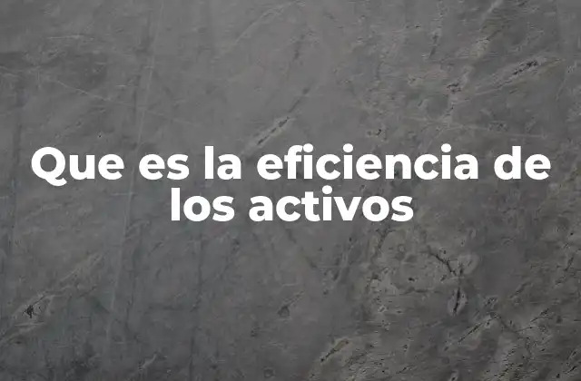 Que es la Eficiencia de los Activos