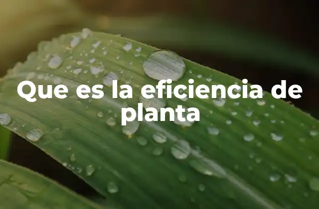 Que es la Eficiencia de Planta