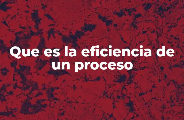 Que es la Eficiencia de un Proceso