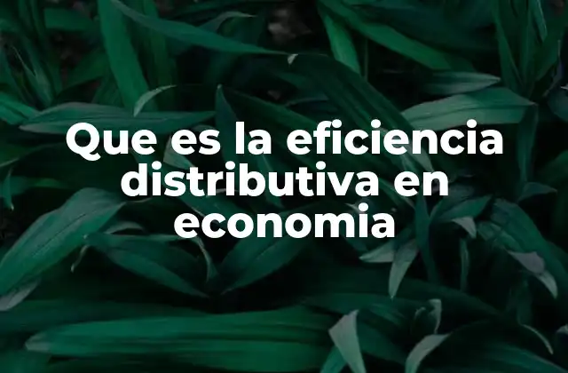 Que es la Eficiencia Distributiva en Economia