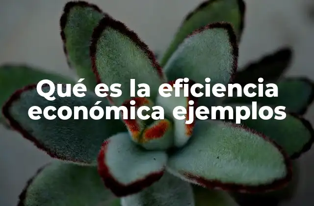 Qué es la Eficiencia Económica Ejemplos 2 La importancia de asignar los recursos de forma óptima