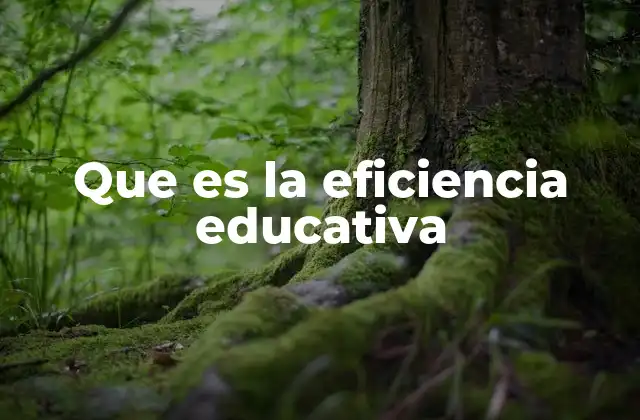 Que es la Eficiencia Educativa