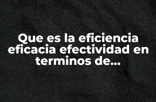 Que es la Eficiencia Eficacia Efectividad en Terminos de Administracion