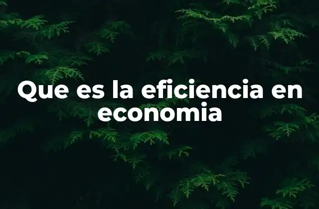 Que es la Eficiencia en Economia