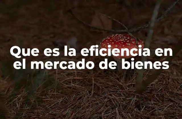 Que es la Eficiencia en el Mercado de Bienes