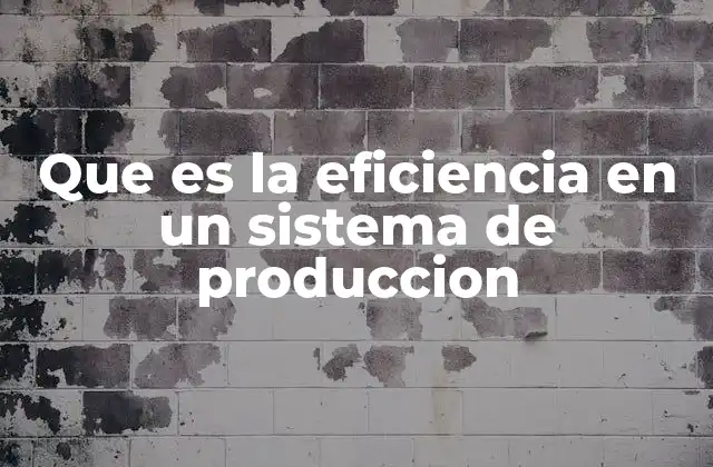 Que es la Eficiencia en un Sistema de Produccion