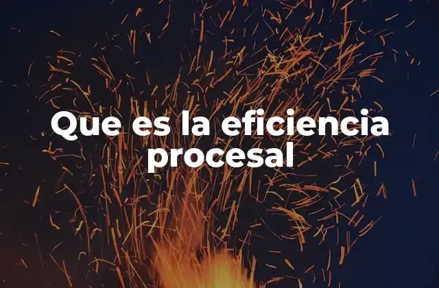 Que es la Eficiencia Procesal