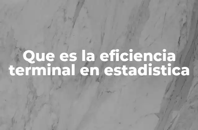 Que es la Eficiencia Terminal en Estadistica