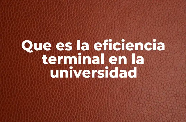 Que es la Eficiencia Terminal en la Universidad