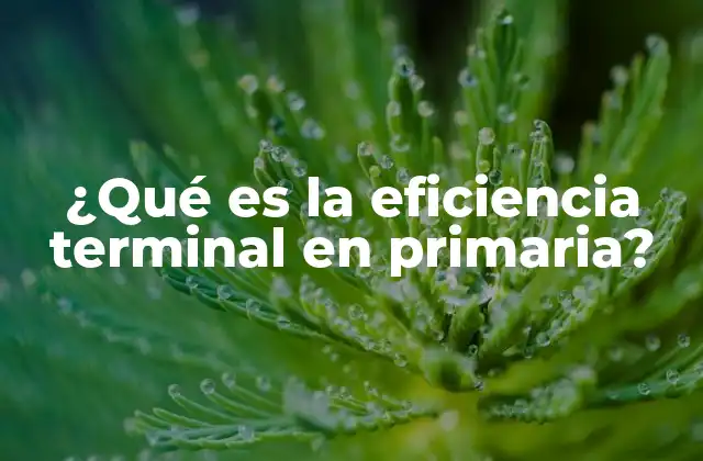 ¿qué es la Eficiencia Terminal en Primaria?