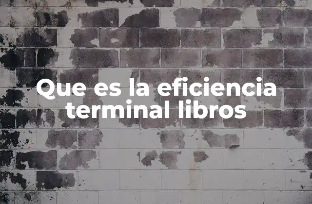 Que es la Eficiencia Terminal Libros