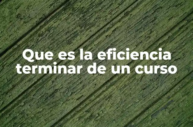 Que es la Eficiencia Terminar de un Curso