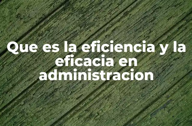 Que es la Eficiencia y la Eficacia en Administracion