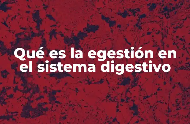 Qué es la Egestión en el Sistema Digestivo