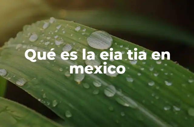 Qué es la Eia Tia en Mexico