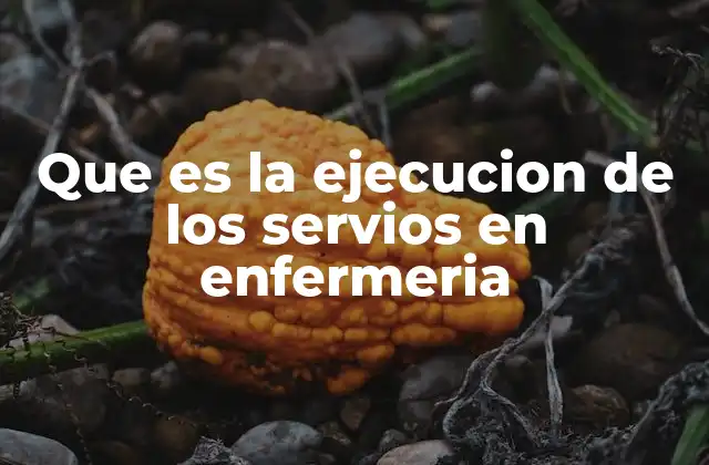 Que es la Ejecucion de los Servios en Enfermeria
