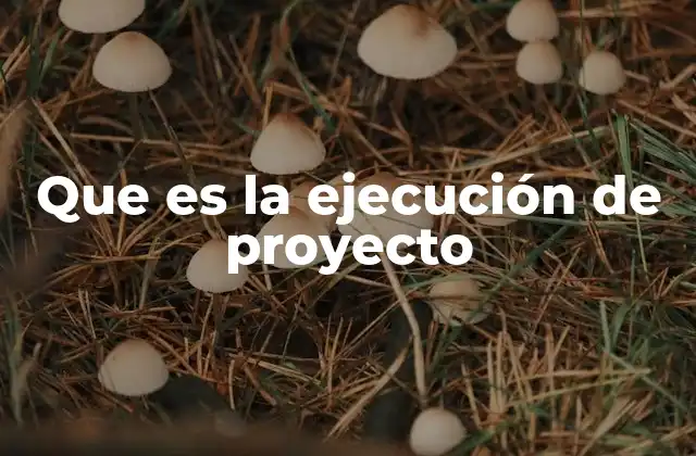 Que es la Ejecución de Proyecto