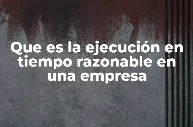 Que es la Ejecución en Tiempo Razonable en una Empresa