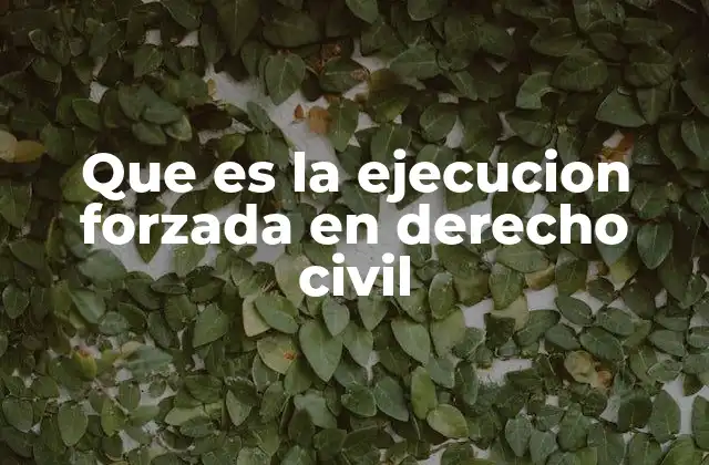 Que es la Ejecucion Forzada en Derecho Civil
