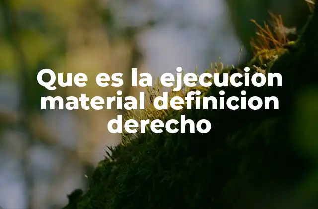 Que es la Ejecucion Material Definicion Derecho