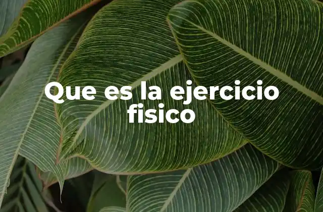 Que es la Ejercicio Fisico 2 La importancia del movimiento en el desarrollo humano