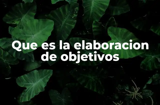 Que es la Elaboracion de Objetivos