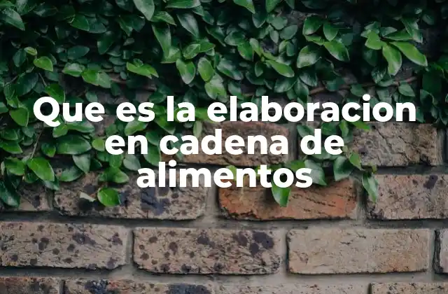 Que es la Elaboracion en Cadena de Alimentos