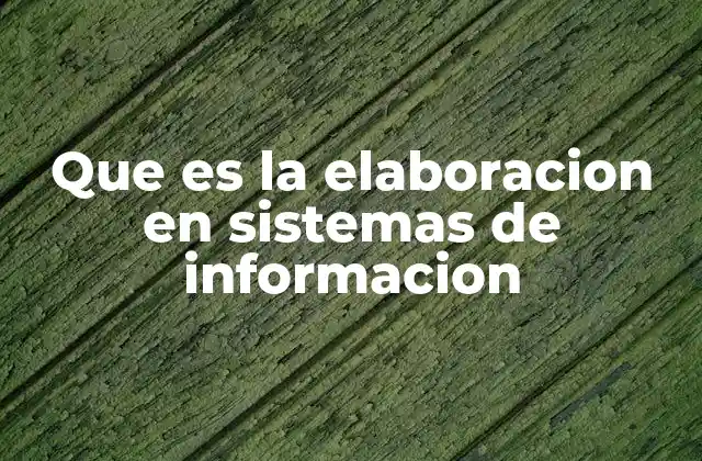 Que es la Elaboracion en Sistemas de Informacion