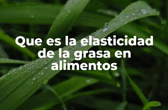 Que es la Elasticidad de la Grasa en Alimentos 2 La relación entre la grasa y la estructura de los alimentos