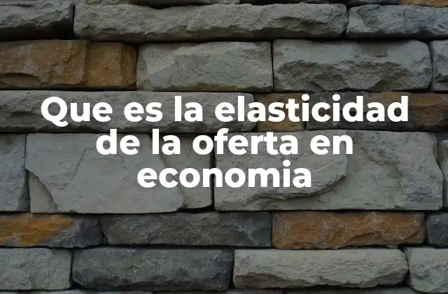 Que es la Elasticidad de la Oferta en Economia