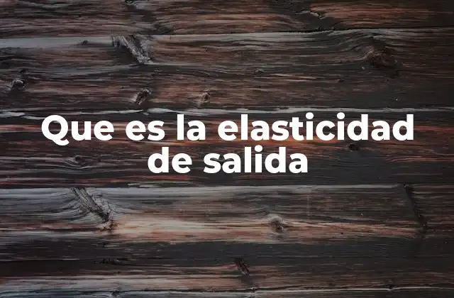 Que es la Elasticidad de Salida