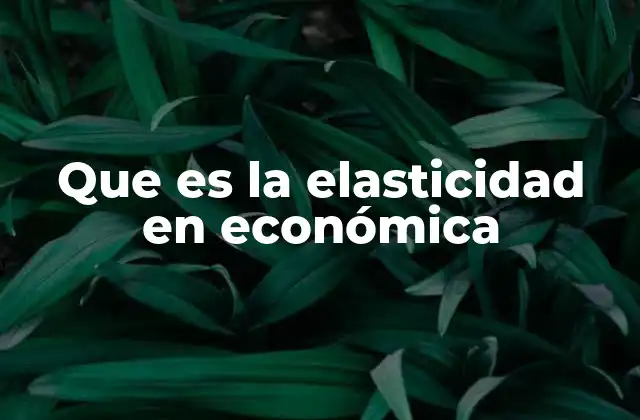 Que es la Elasticidad en Económica