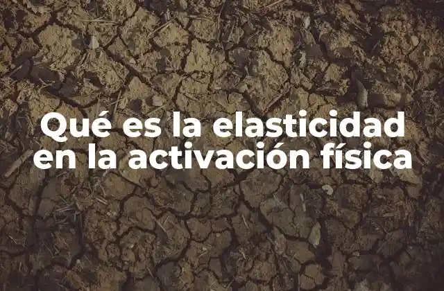 Qué es la Elasticidad en la Activación Física