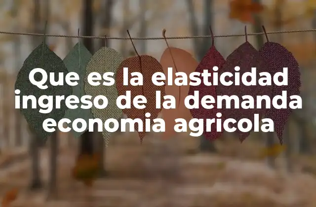 Que es la Elasticidad Ingreso de la Demanda Economia Agricola