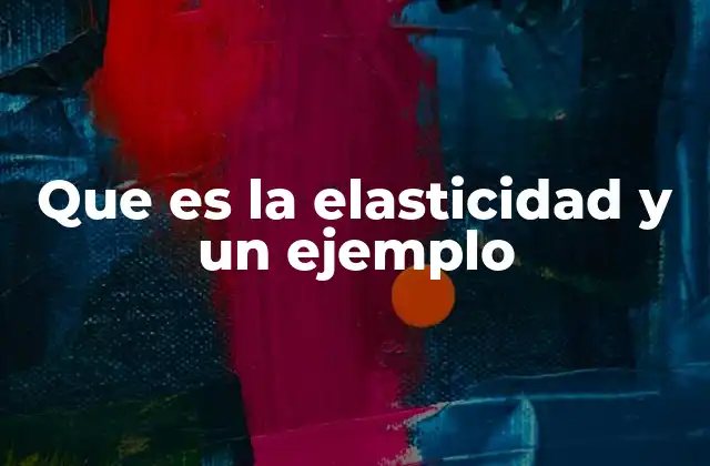 Que es la Elasticidad y un Ejemplo