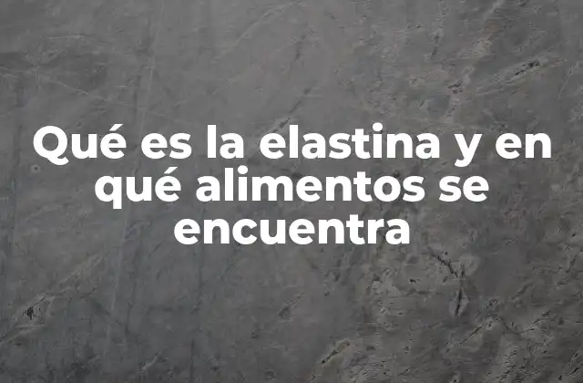 Qué es la Elastina y en Qué Alimentos Se Encuentra