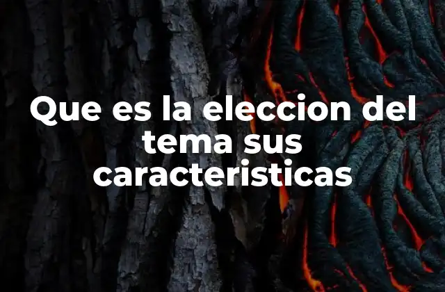Que es la Eleccion Del Tema Sus Caracteristicas