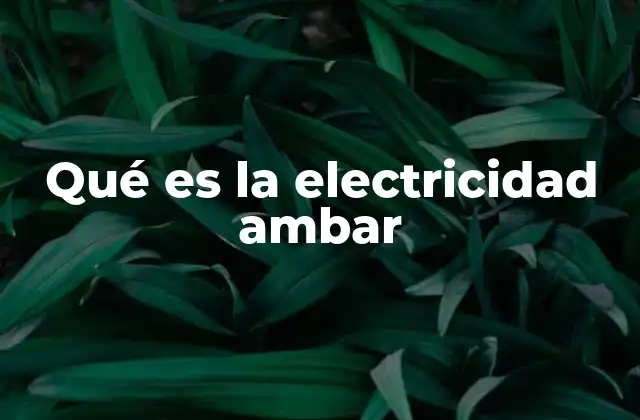 Los orígenes del estudio de la electricidad ambar