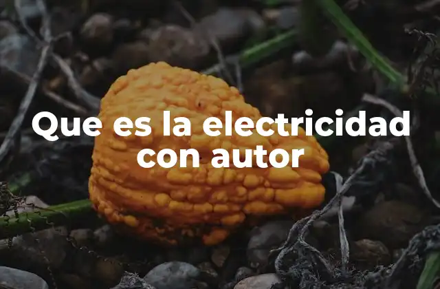 Que es la Electricidad con Autor