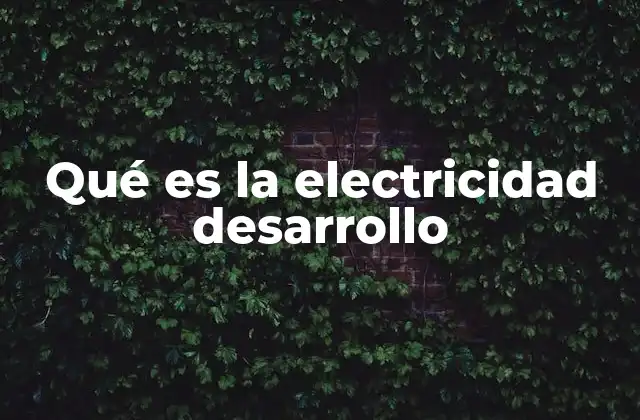 Qué es la Electricidad Desarrollo