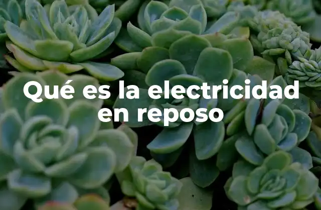 Qué es la Electricidad en Reposo